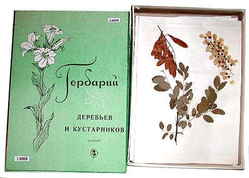 (32840 bytes)